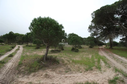 Quinta para Venda em Melides