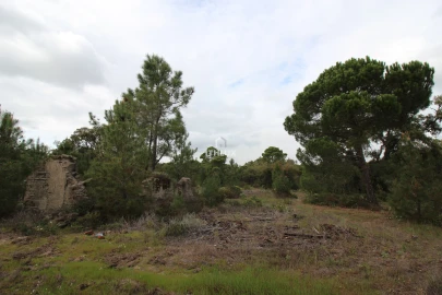 Quinta para Venda em Melides