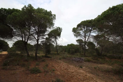 Quinta para Venda em Melides