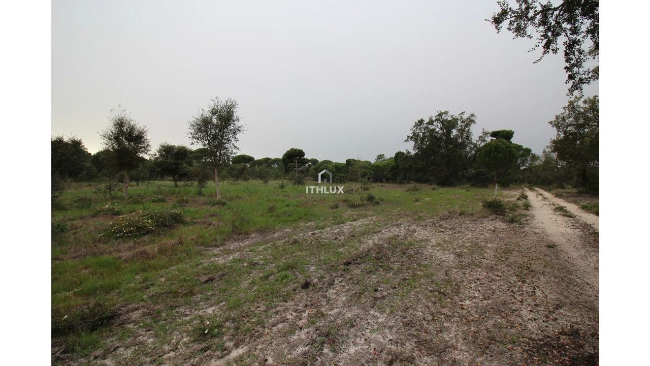 Quinta para Venda em Melides Foto 27