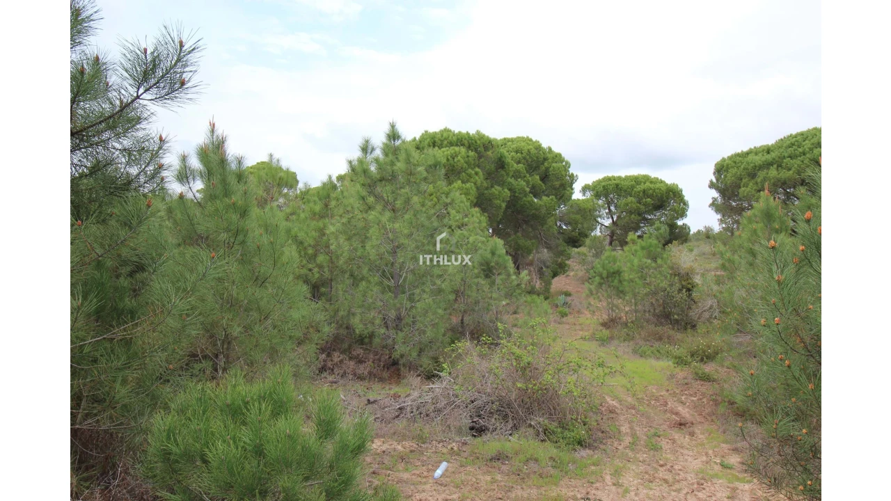 Quinta para Venda em Melides Foto 19