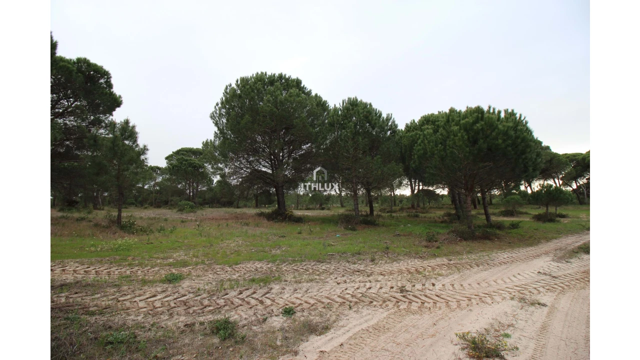 Quinta para Venda em Melides Foto 8