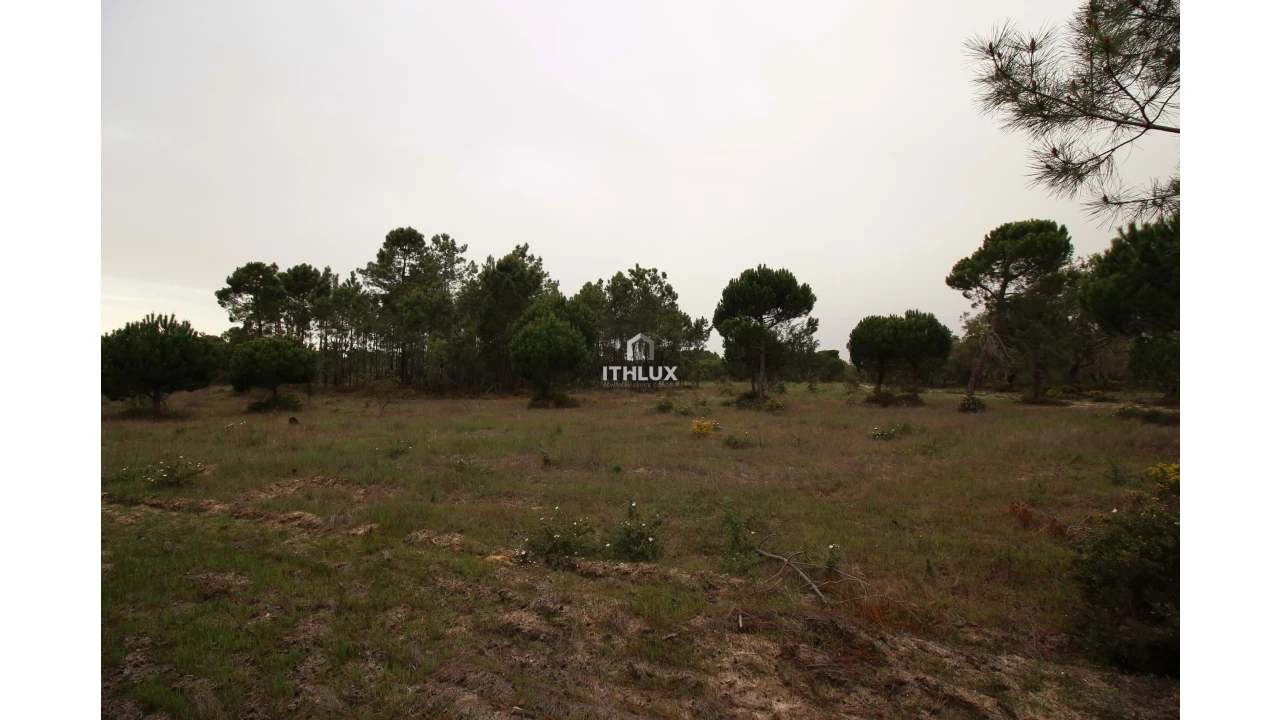 Quinta para Venda em Melides Foto 26