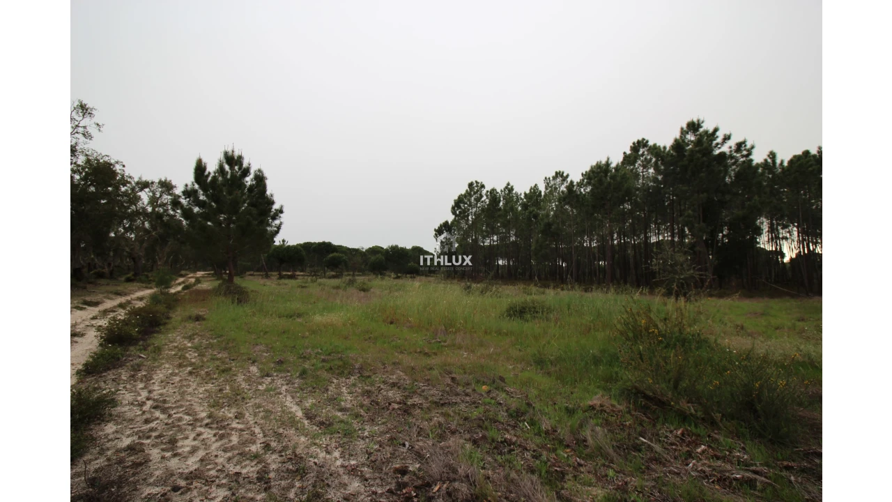 Quinta para Venda em Melides Foto 28