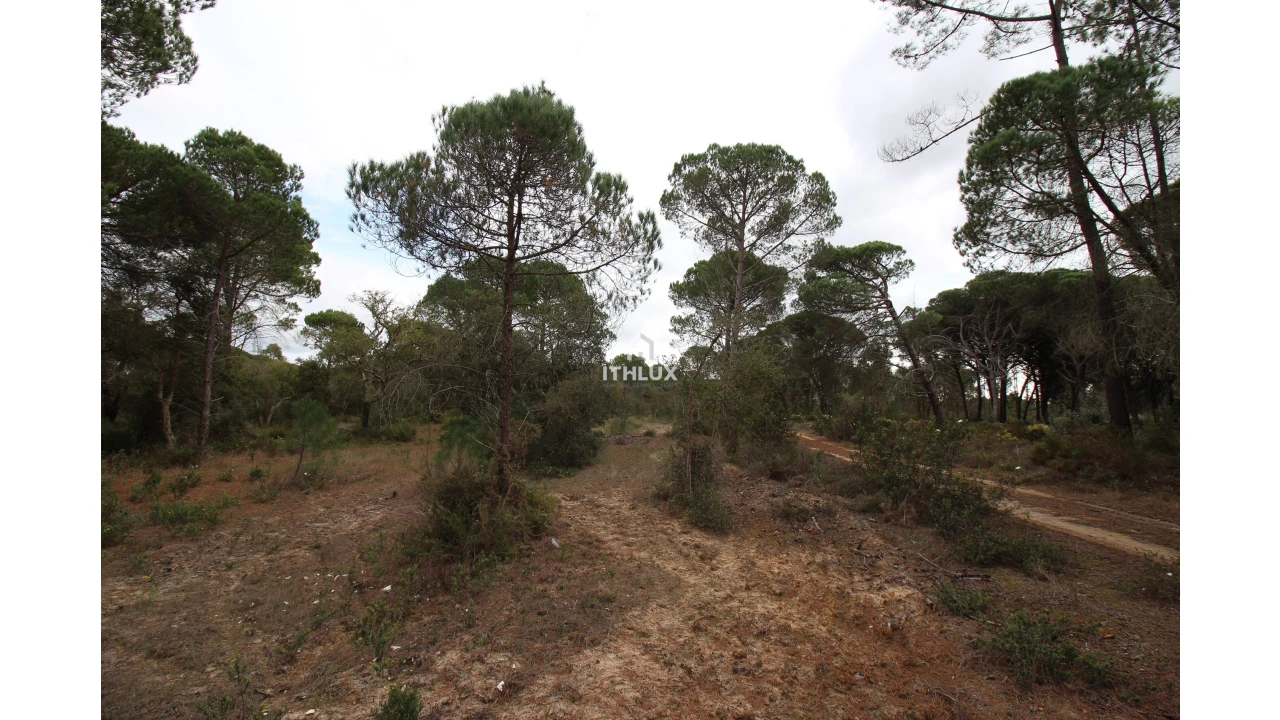 Quinta para Venda em Melides Foto 18