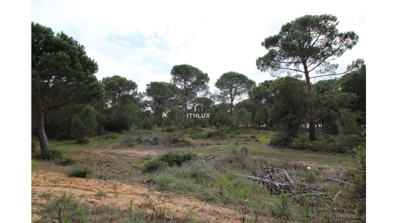 Quinta para Venda em Melides Foto 21