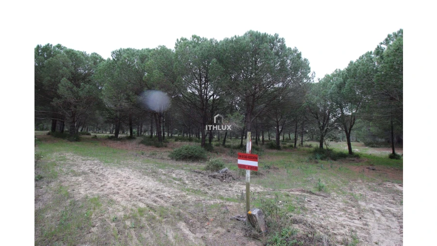 Quinta para Venda em Melides Foto 30