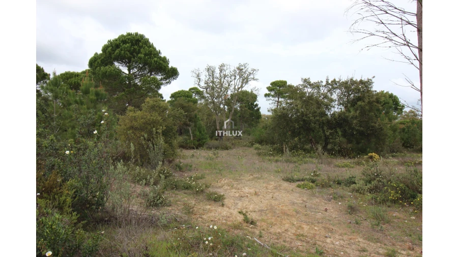 Quinta para Venda em Melides Foto 12