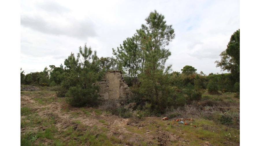 Quinta para Venda em Melides Foto 1