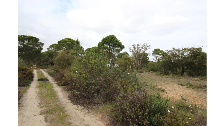 Quinta para Venda em Melides Foto 11