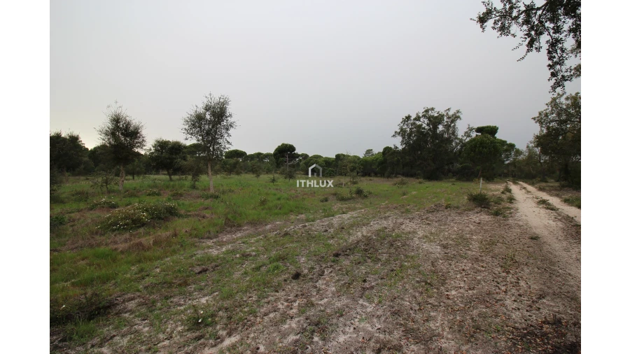 Quinta para Venda em Melides Foto 27