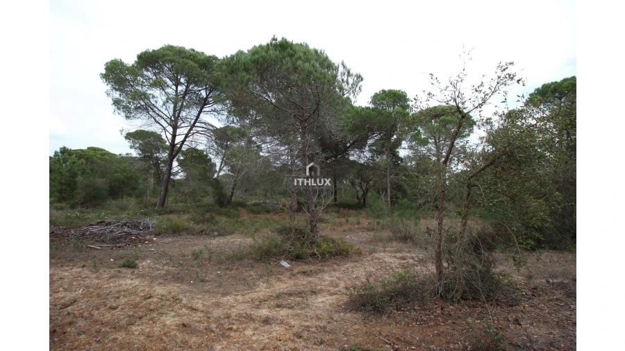 Quinta para Venda em Melides Foto 16