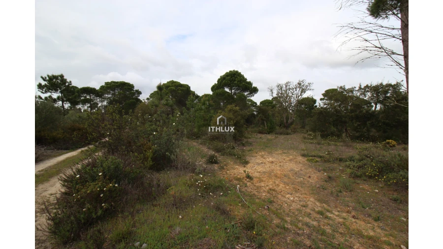 Quinta para Venda em Melides Foto 7