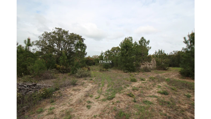 Quinta para Venda em Melides Foto 9