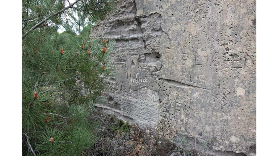 Quinta para Venda em Melides Foto 2
