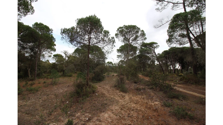 Quinta para Venda em Melides Foto 18