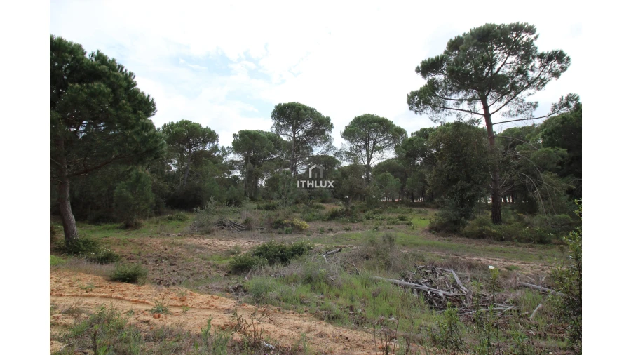 Quinta para Venda em Melides Foto 21