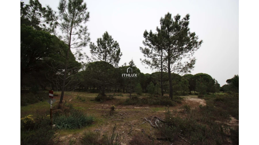 Quinta para Venda em Melides Foto 31