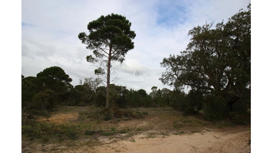 Quinta para Venda em Melides Foto 14