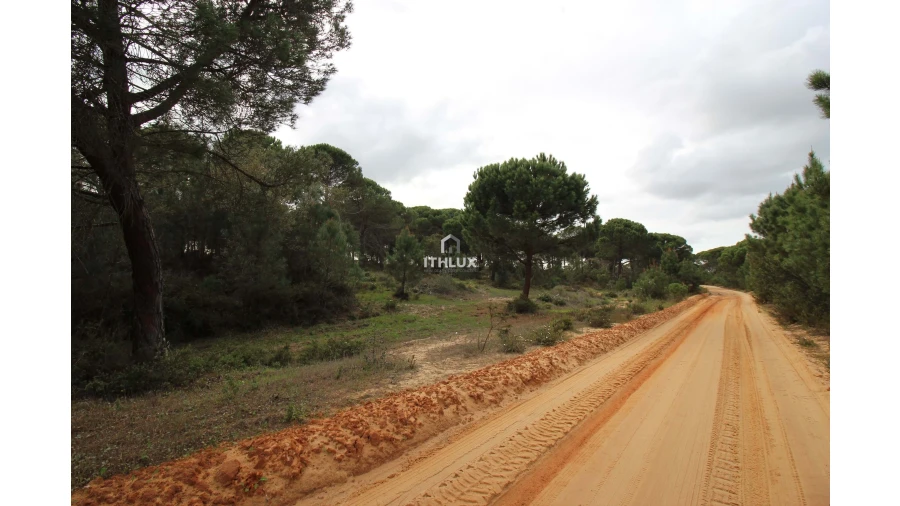 Quinta para Venda em Melides Foto 3