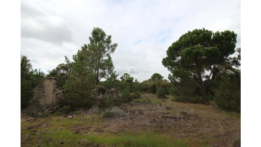 Quinta para Venda em Melides Foto 10