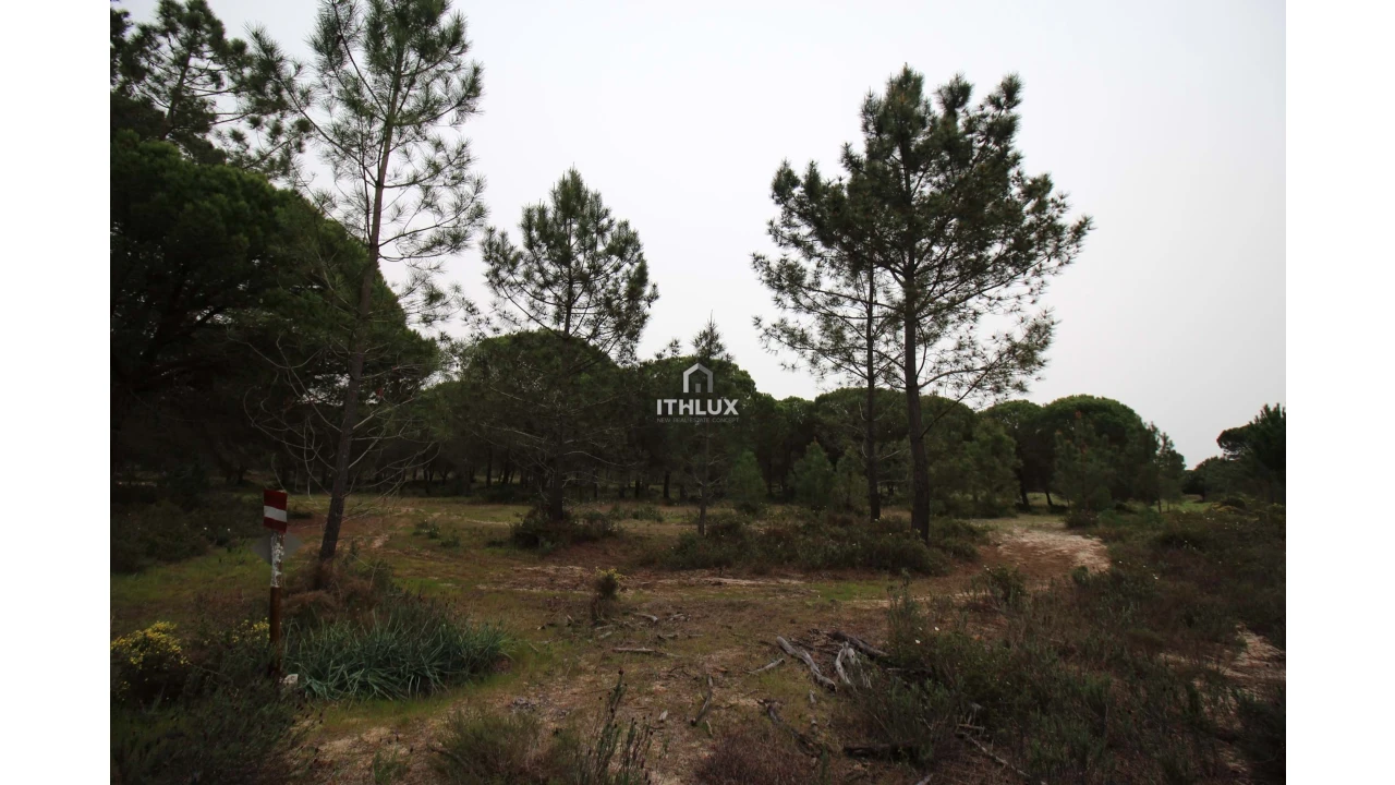 Quinta para Venda em Melides Foto 31