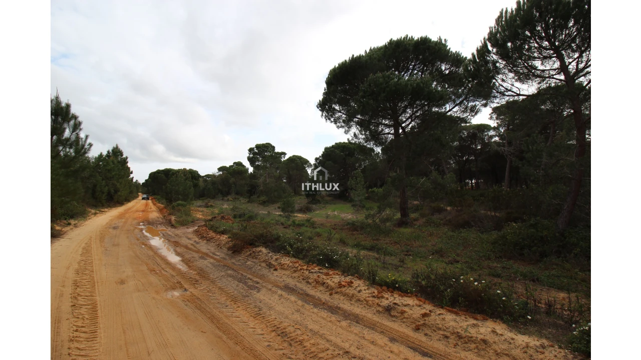 Quinta para Venda em Melides Foto 23
