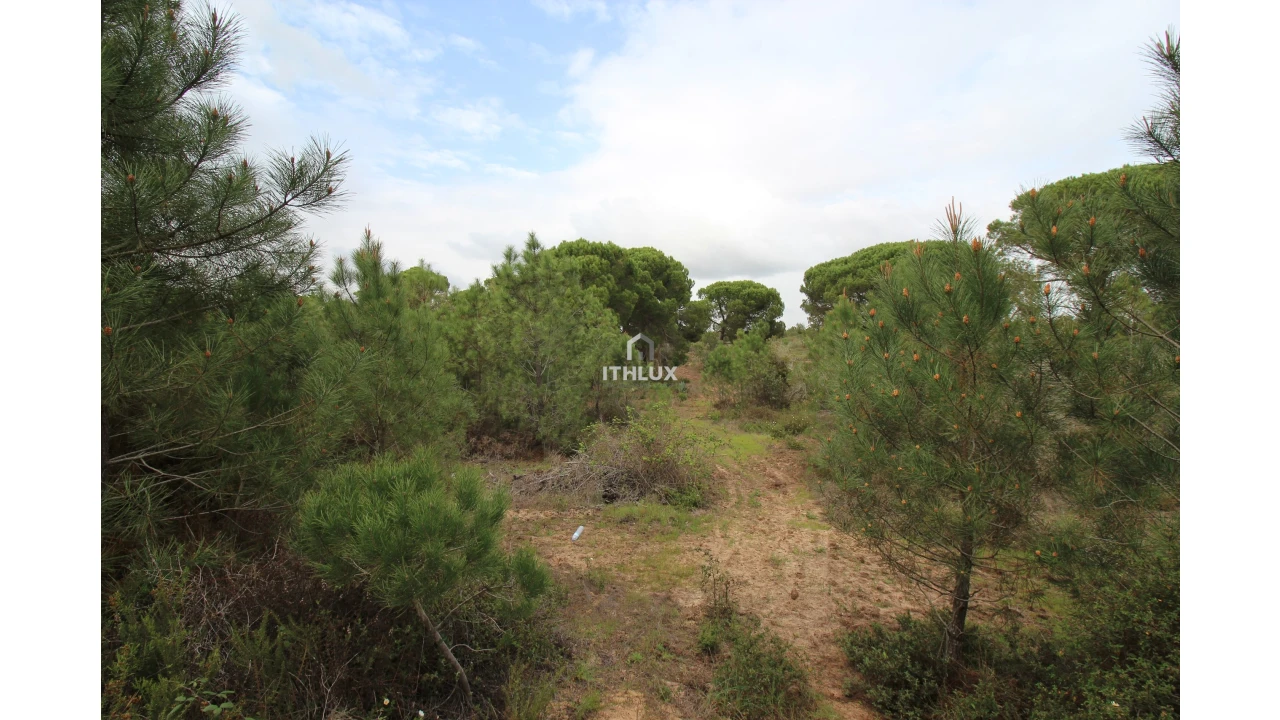 Quinta para Venda em Melides Foto 20