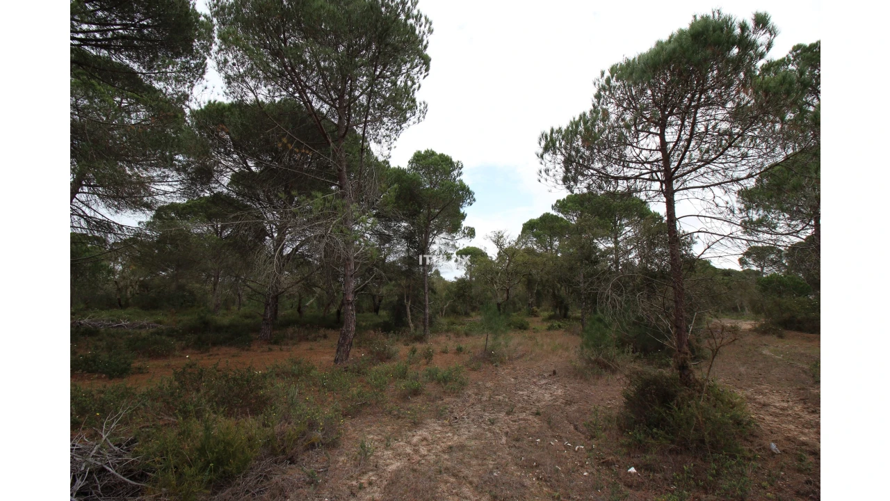 Quinta para Venda em Melides Foto 17