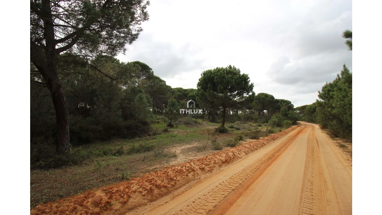 Quinta para Venda em Melides Foto 3