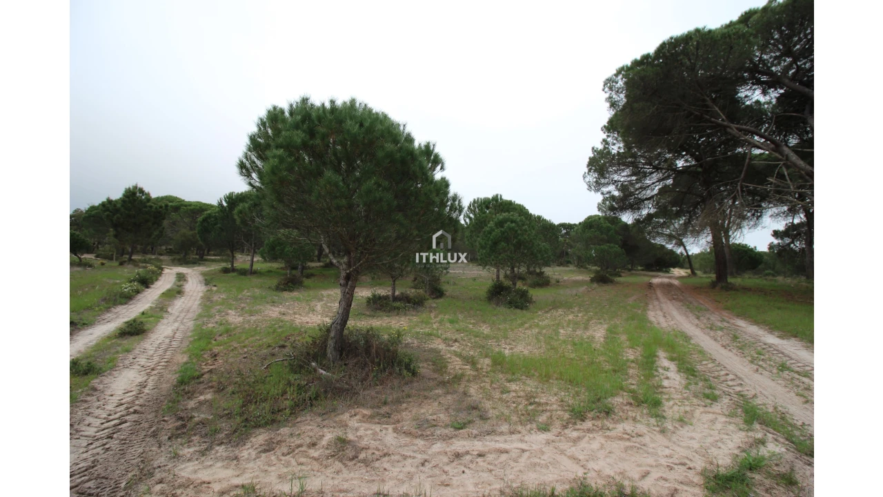 Quinta para Venda em Melides Foto 24