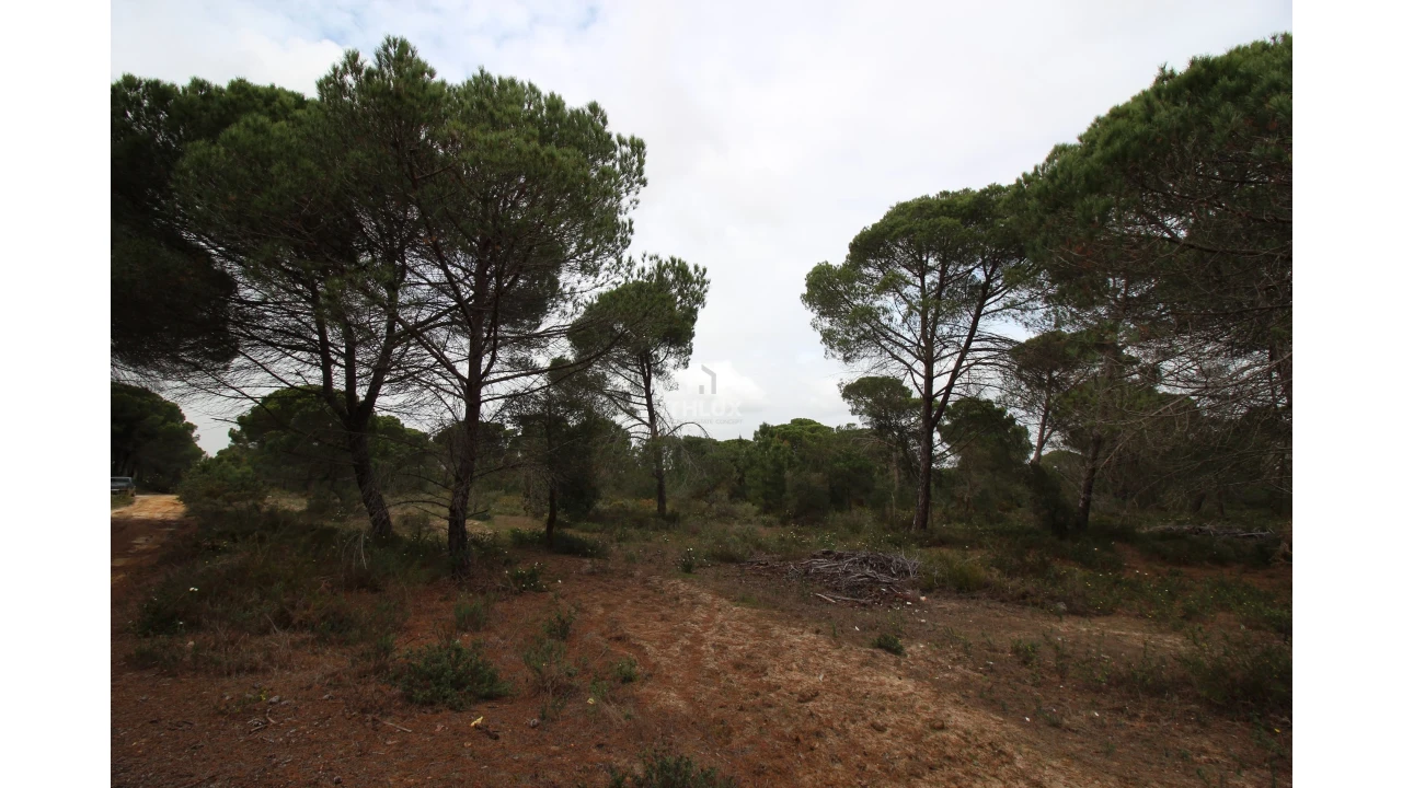 Quinta para Venda em Melides Foto 15