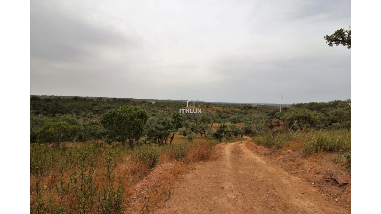 Quinta para Venda em São Francisco da Serra Foto 16