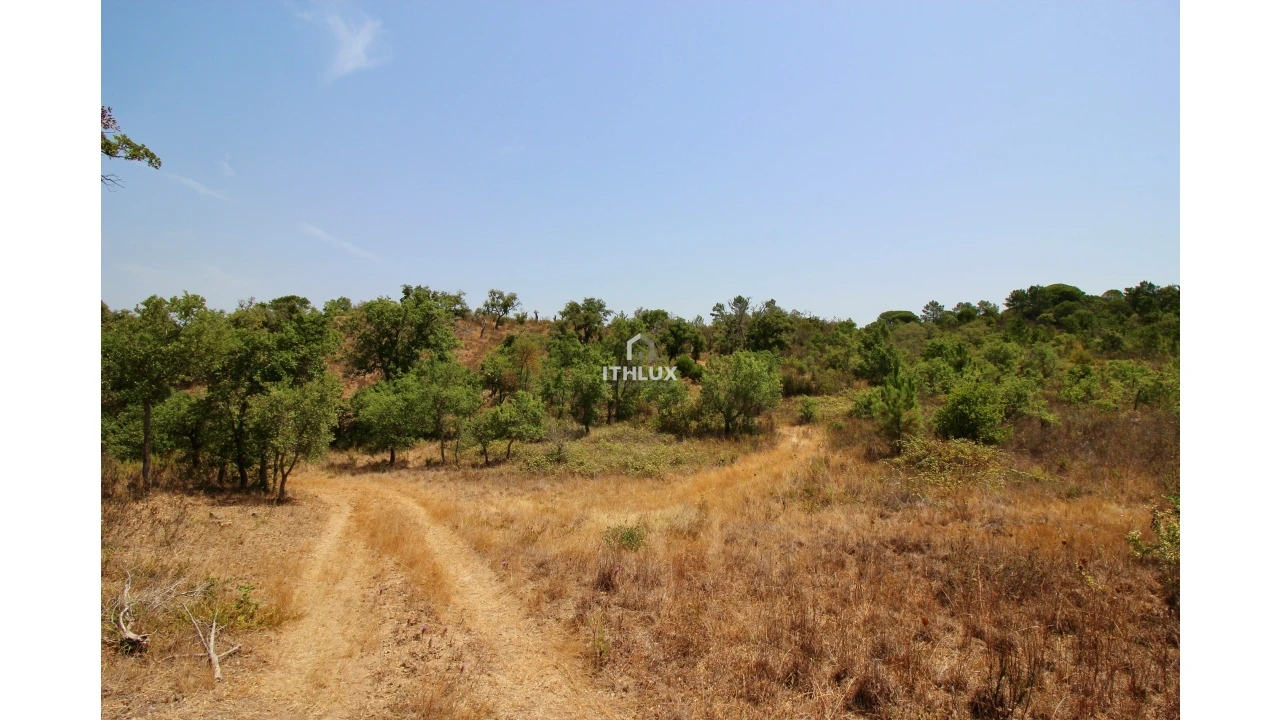 Quinta para Venda em São Francisco da Serra Foto 22