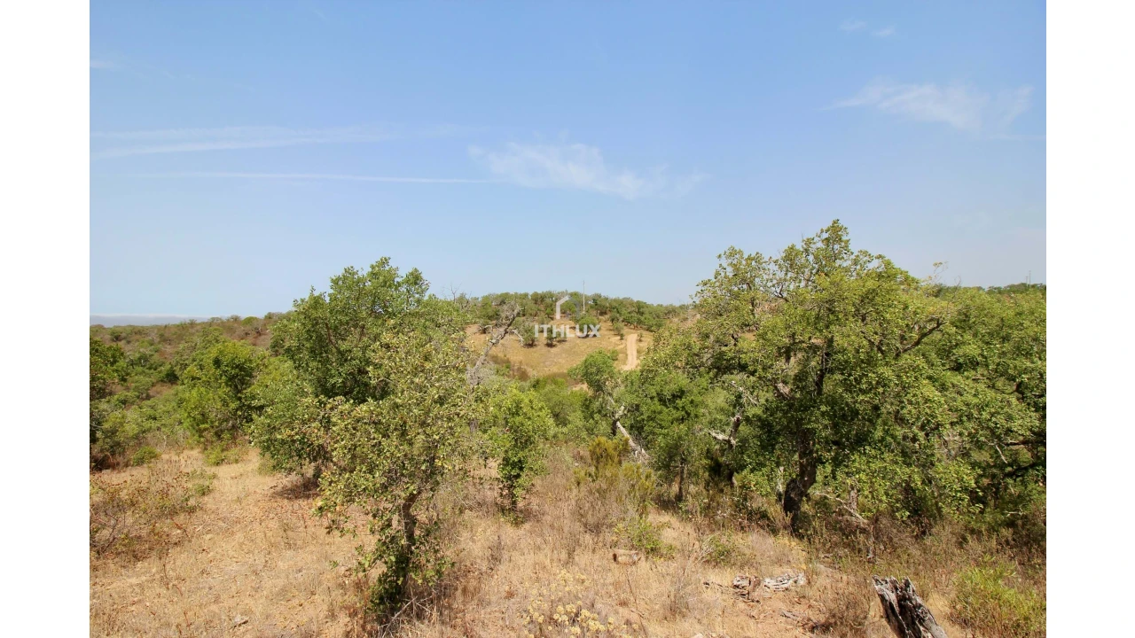 Quinta para Venda em São Francisco da Serra Foto 32