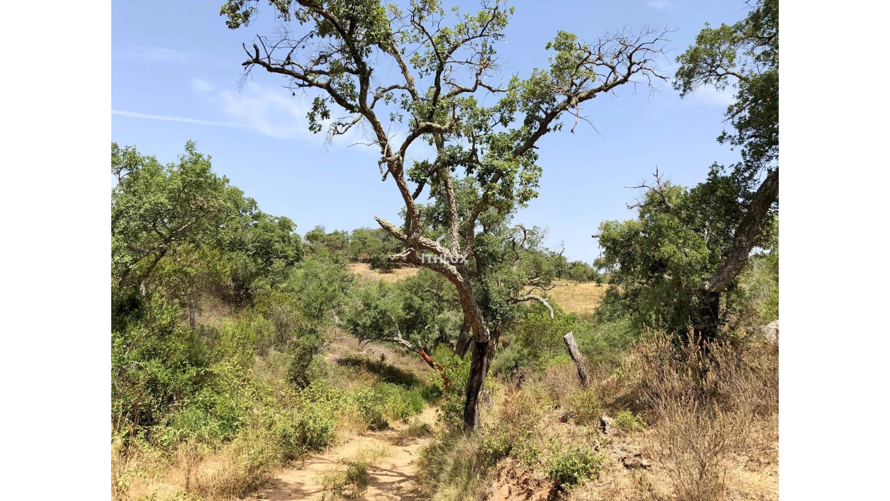 Quinta para Venda em São Francisco da Serra Foto 38