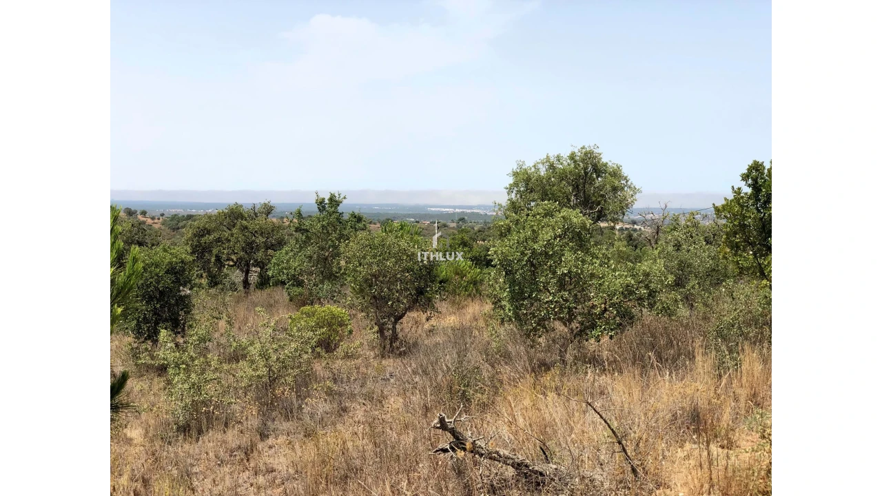 Quinta para Venda em São Francisco da Serra Foto 39