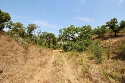 Quinta para Venda em São Francisco da Serra