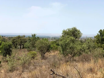Quinta para Venda em São Francisco da Serra
