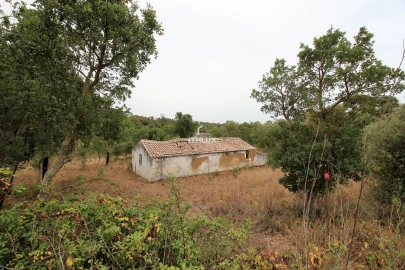 Quinta para Venda em São Francisco da Serra