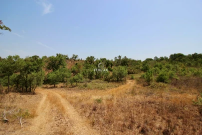 Quinta para Venda em São Francisco da Serra