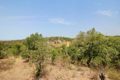Quinta para Venda em São Francisco da Serra