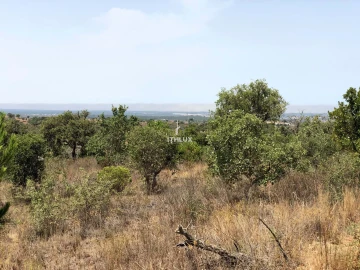 Quinta para Venda em São Francisco da Serra