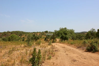 Quinta para Venda em São Francisco da Serra