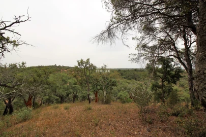 Quinta para Venda em São Francisco da Serra