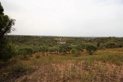 Quinta para Venda em São Francisco da Serra