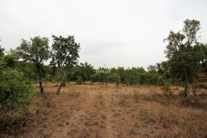 Quinta para Venda em São Francisco da Serra