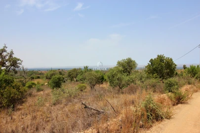 Quinta para Venda em São Francisco da Serra