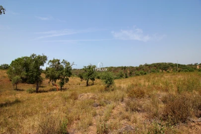 Quinta para Venda em São Francisco da Serra