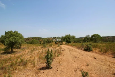 Quinta para Venda em São Francisco da Serra